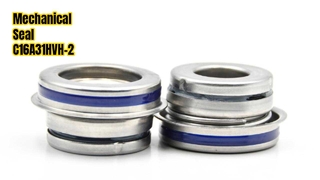 الختم الميكانيكي C16A31HVH-2