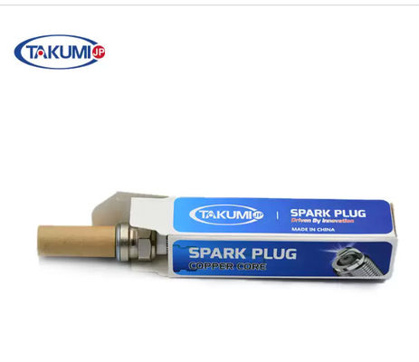 S-R6A19 بريشامبر قابس شرارة صناعي 12453566 12344841 لـ MWM TCG 3016